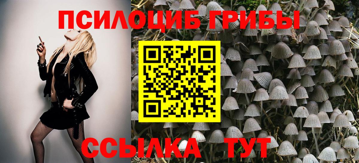 Псилоцибиновые грибы Psilocybe Первоуральск