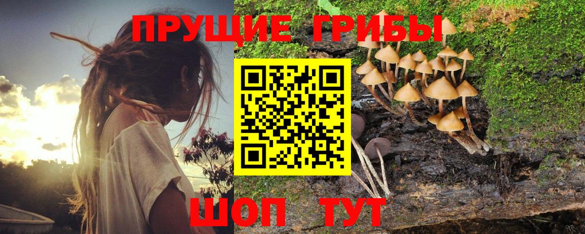 Первоуральск  Галлюциногенные грибы MAGIC MUSHROOMS  Псилоцибиновые грибы Psilocybe  продажа наркотиков  Вход с VPN 